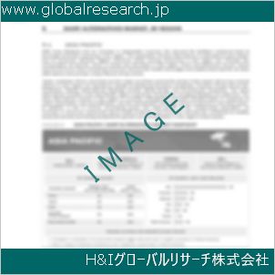 グローバルリサーチ調査資料のイメージ